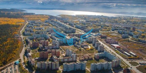 Куплю диплом в Братске