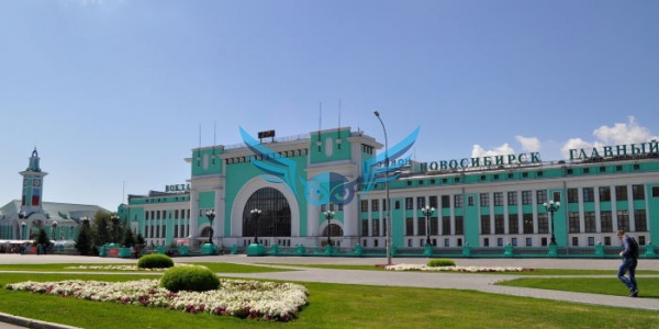 Куплю диплом в Новосибирске